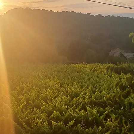 Appartement Mas Des Pelissiers Chambre&table D'hote Sabran