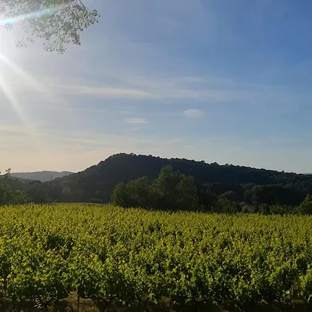 Mas Des Pelissiers 1 Lejlighed